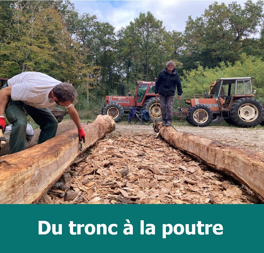 Tronc à la poutre-1