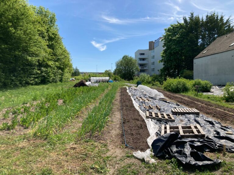 Ferme-2-768x576